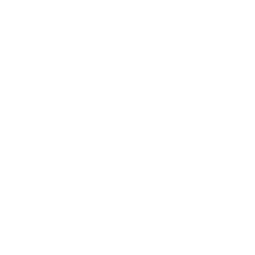 Fast WordPress Hosting